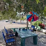 Bed & Breakfast Goknar Knidos Nature And Farm (adults Only) Datça
