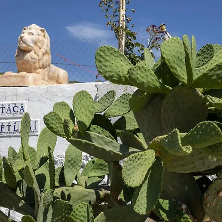 Goknar Knidos Nature And Farm (adults Only) Bed & Breakfast