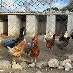 Bed & Breakfast Goknar Knidos Nature Hotel And Farm (Adults Only) Datça