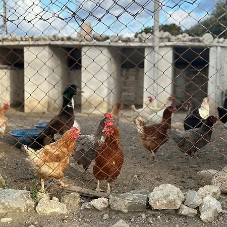 Bed and Breakfast Goknar Knidos Adults Only Eco Retreat And Farm Datca