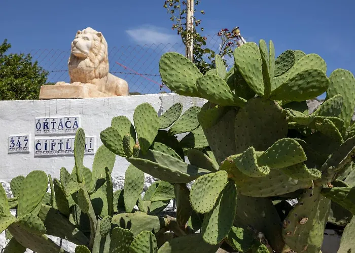 Goknar Knidos Nature Hotel And Farm (Adults Only) Frühstückspension