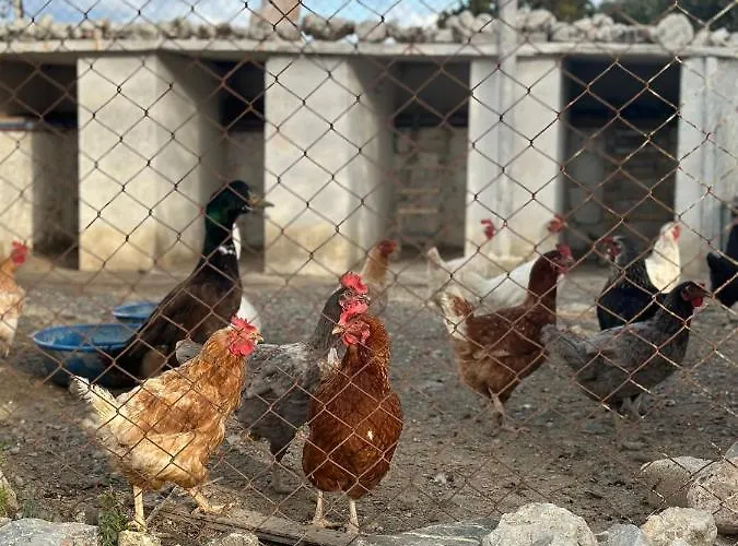 Frühstückspension Goknar Knidos Nature Hotel And Farm (Adults Only) Datça
