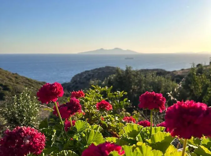 Frühstückspension Goknar Knidos Nature Hotel And Farm (Adults Only) 3*